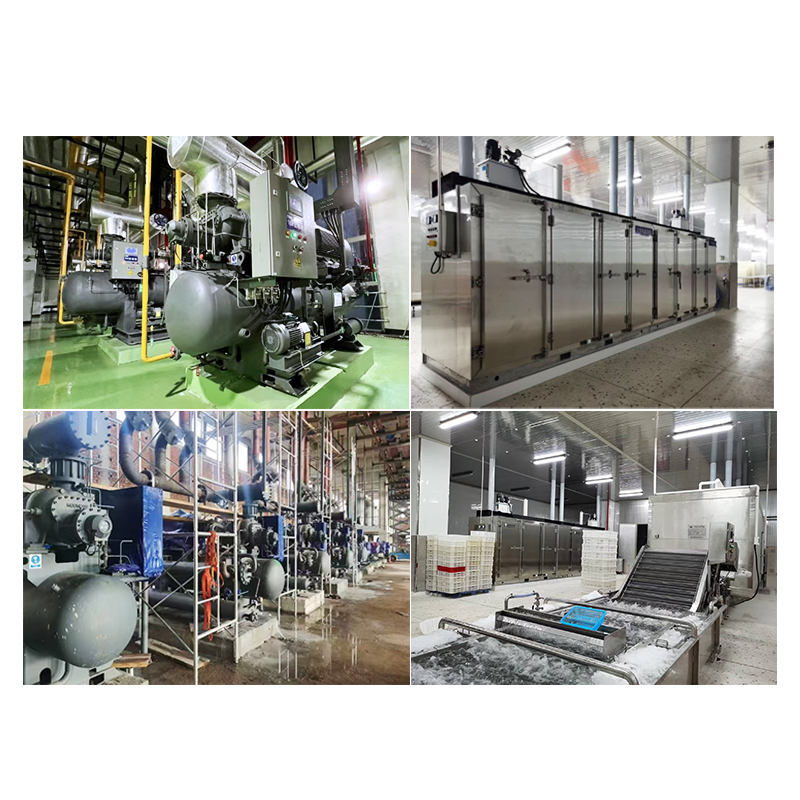 ICESTA High Efficiency Ammonia Ice Making Refrigeration System