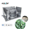 ICESTA Industrial Single Spiral Freezer for Seafood, New Design, Easy Operation, Automatic