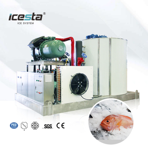 ICESTA 25 Ton Industrial Commercial Flake Ice Machine | Malakas na Katatagan