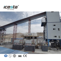 Containerized Flake ice plant with Automatic ice storage & Delivery & Weighing System (All-In-One) 