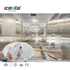 ICESTA Containerized 40 Ton Industrial Automatic Ice Plant with Rake ice system for Concrete Pouring Hydropower Station $170000