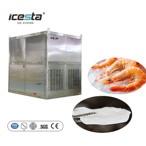 ICESTA 5 Ton High Quality PLC Control Stainless Steel Plate Ice Machine