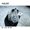 ICESTA 10 Ton 304SS Automatic Industrial Plate Ice Machine