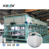 ICESTA 20-30 Ton Direct-cooling Block Ice Making Machine