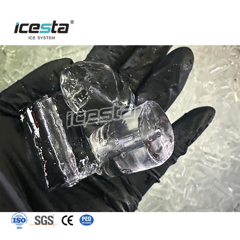 ICESTA 10-25 Ton Industrial Tube Ice Machine