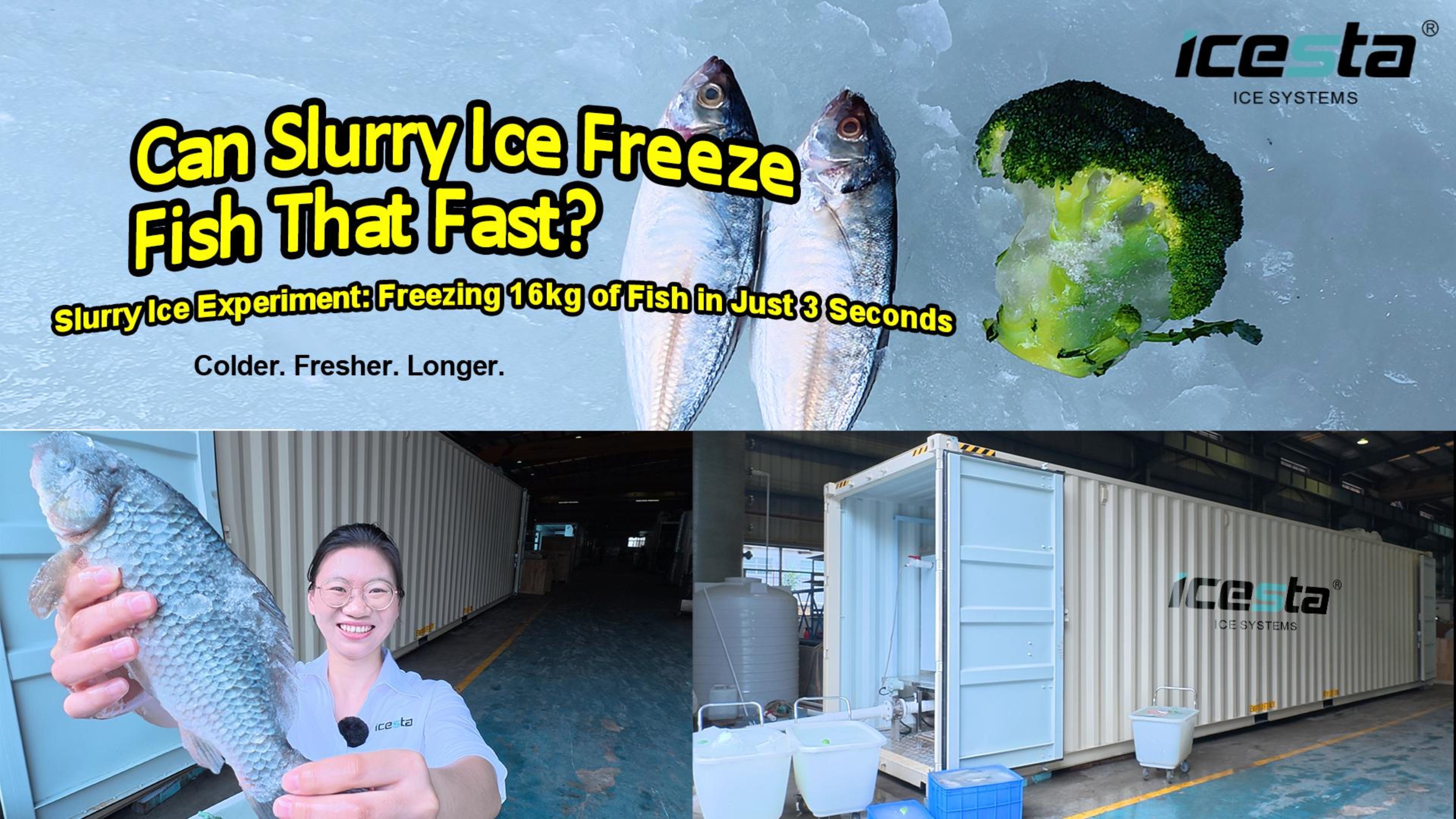 Slurry Ice Machine Field Test: How Fast Can 16kg of Live Fish Be Wrapped And Chilled at 32&deg;C? | ICESTA 10-Ton Containerized Slurry Ice Machine Experiment