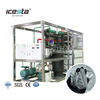 ICESTA 10 Ton 304SS Automatic Industrial Plate Ice Machine