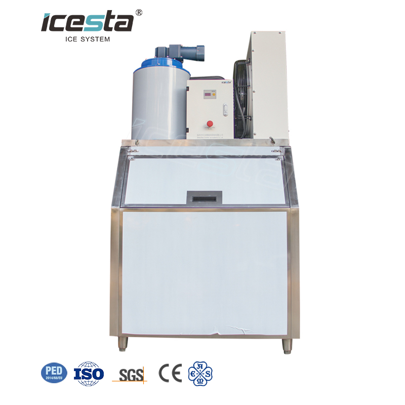 ICESTA 1 Ton (1000kg) SS304 Flake Ice Machine for Fish