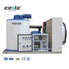 ICESTA 2 Ton (2000kg) Commercial Flake Ice Machine | Factory Direct