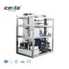 ICESTA 5 Ton Customized Tube Ice Machine