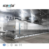 ICESTA Quick Freeze New Design High Quality Long Service Life Automic Industrial tunnel blast freezer For Cooling Fish