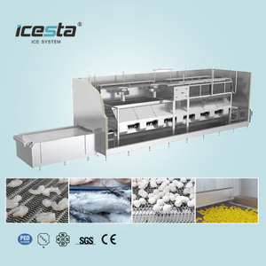 ICESTA Iqf Processing Line Automic Cryogenic Durian Quick Freeze Tunnel Freezer For Food Processing Industry