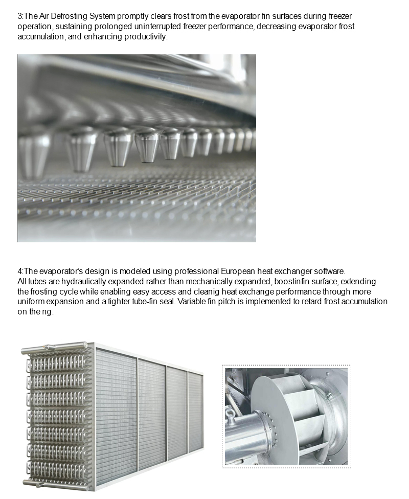 ICESTA Iqf Processing Line Automic Cryogenic Durian Quick Freeze Tunnel Freezer For Food Processing Industry