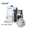 ICESTA 3-10 Ton Land-Based Air Cooling Seawater Flake Ice Machine