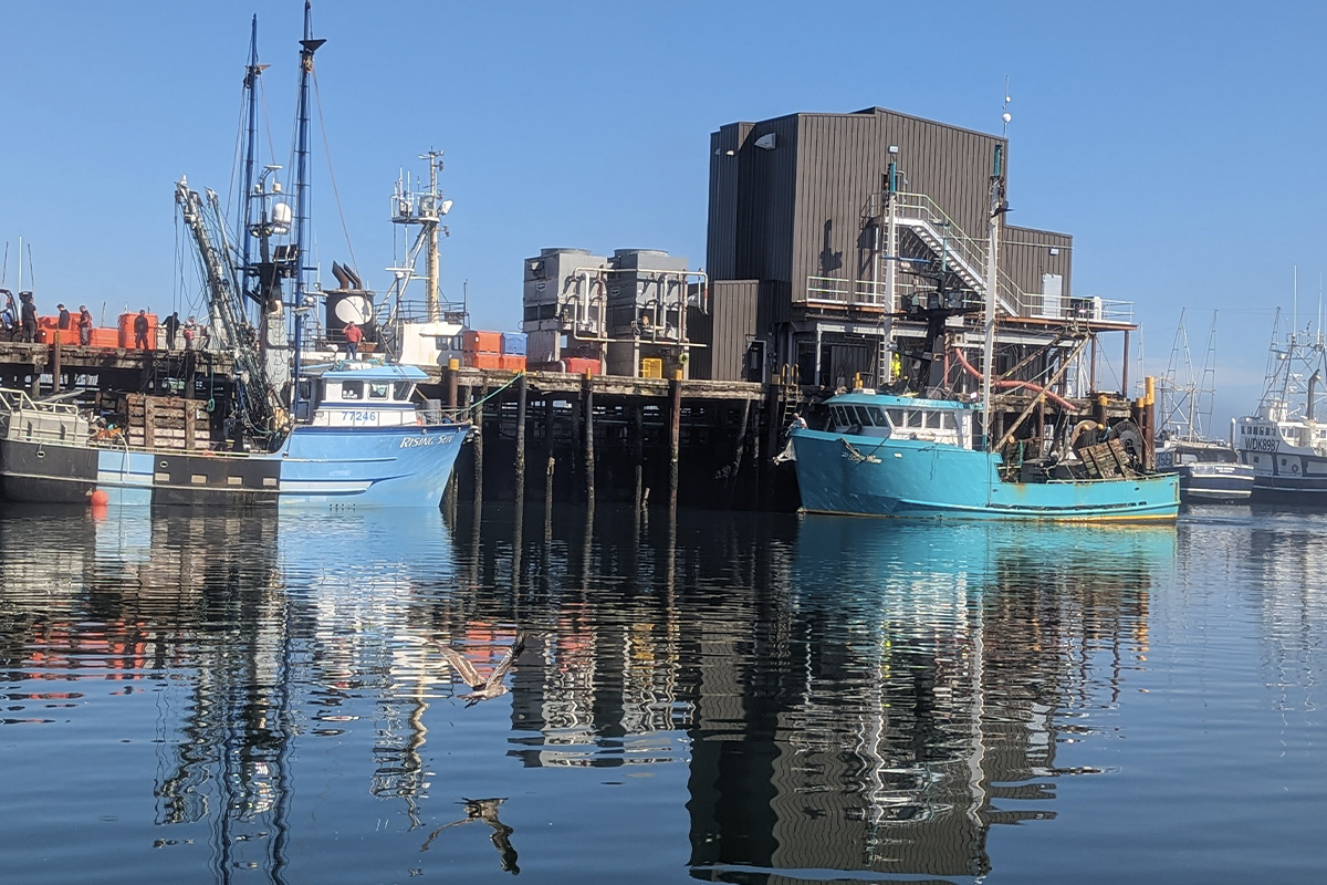 How to Choose the Right Flake Ice Machine for Commercial Fishing Operations