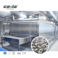 ICESTA Iqf Processing Line Automic Cryogenic Durian Quick Freeze Tunnel Freezer Para sa Food Processing Industry