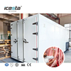 Stainless Steel Industrial Air Blast Freezer For Automic Chicken Beef Mutton Storage 