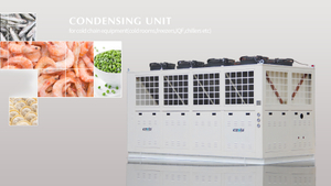 Contact horizontal freezer & Condensing unit ICESTA Low temp $20000-$50000