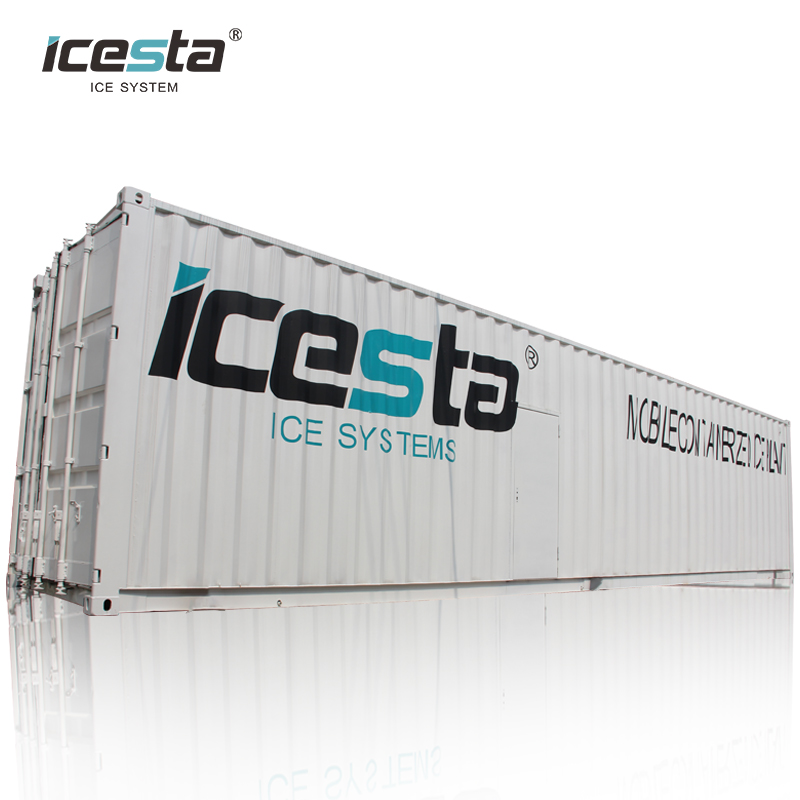 Automatic Ice Cube Machine with Ice storage & Screw Packing system 12 sets, Export to Australia