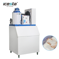 ICESTA 1 Ton (1000kg) SS304 Flake Ice Machine for Fish