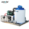 1 Ton 2 Ton 3 Ton 5 Ton Flake Ice Machine | ICESTA Manufacturer