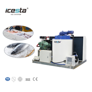 1 Ton 2 Ton 3 Ton 5 Ton Flake Ice Machine | ICESTA Manufacturer