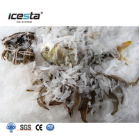 ICESTA 1-5 Ton Marine Salt Water Flake Ice Machine for Boat