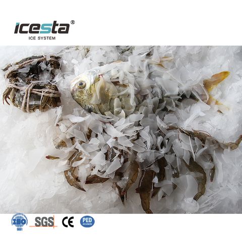 ICESTA China Commercial Industrial Flake Ice Machine for Fishing Boat