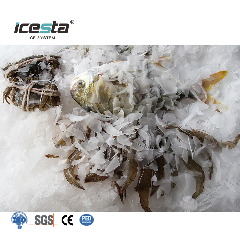ICESTA China Commercial Industrial Flake Ice Machine for Fishing Boat
