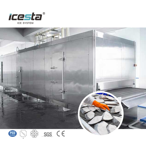 ICESTA Quick Freeze New Design High Quality Long Service Life Automic Industrial tunnel blast freezer For Cooling Fish