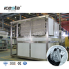 ICESTA 10 Ton 304SS Automatic Industrial Plate Ice Machine