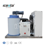 ICESTA 500kg 0.5Ton Commercial Flake Ice Machine | For Fish & Seafood