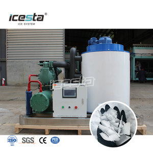 5t Good Quality Commercial Flake Ice Machine | ICESTA Manufacturer