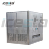 Icesta 5 Tons Plate Ice Machine for Seafood $25000 - $30000