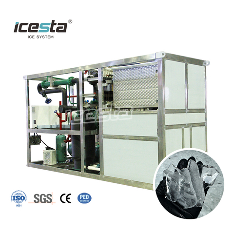 ICESTA Customizable 1-12 Tons Industrial Plate Ice Making Machine