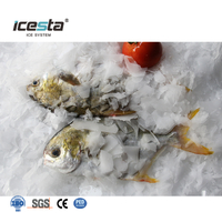 ICESTA 3-10 Ton Per Day Food Grade Stainless Steel Flake Ice Machine