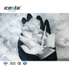 ICESTA China Commercial Industrial Flake Ice Machine for Fishing Boat